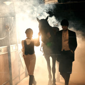 理想邦-骏马疾驰