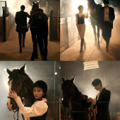 理想邦-骏马疾驰