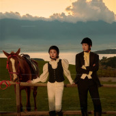 理想邦-骏马疾驰