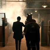 理想邦-骏马疾驰