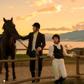 理想邦-骏马疾驰