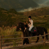 理想邦-骏马疾驰