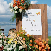 归鲤小镇-晴天婚礼