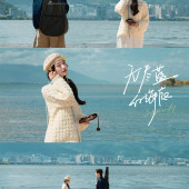 洱海树林-无尽蓝