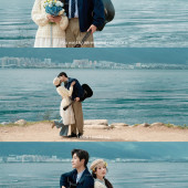 洱海树林-无尽蓝