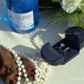 水台婚礼-私奔到世界尽头