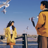 兴盛桥-港岛热恋