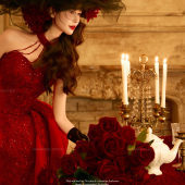 山茶园-玫瑰人生