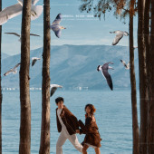 洱海海景-秋日红杉