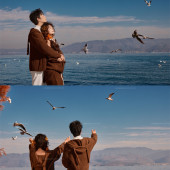 洱海海景-秋日红杉