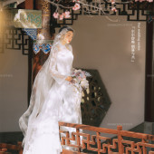 山茶园-樱花树下