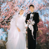 山茶园-樱花树下