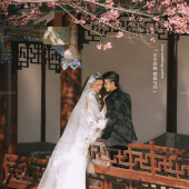 山茶园-樱花树下