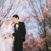 山茶园-樱花树下