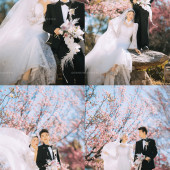 山茶园-樱花树下