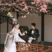 山茶园-樱花树下