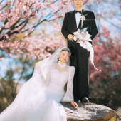 山茶园-樱花树下