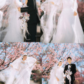 山茶园-樱花树下