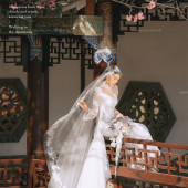 山茶园-樱花树下