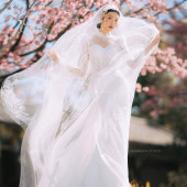 山茶园-樱花树下