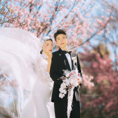 山茶园-樱花树下