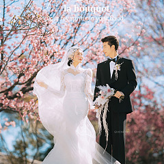 山茶园-樱花树下