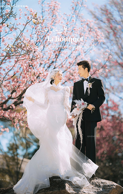 山茶园-樱花树下