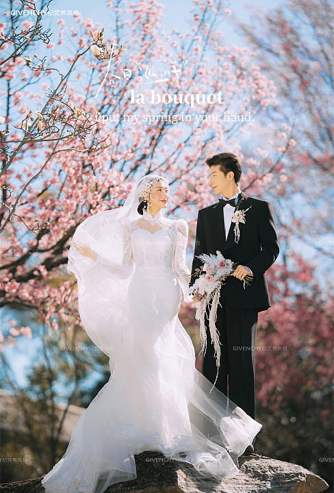 山茶园-樱花树下