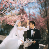 山茶园-樱花树下