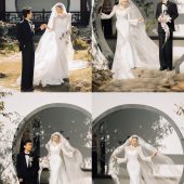 山茶园-雅致风韵