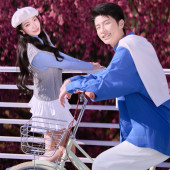 大理限定-春日樱花