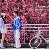 大理限定-春日樱花