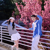 大理限定-春日樱花