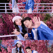 大理限定-春日樱花