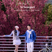 大理限定-春日樱花