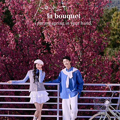 大理限定-春日樱花