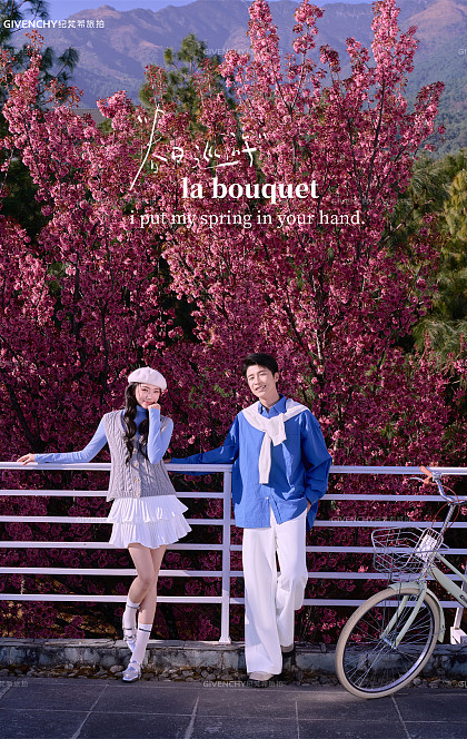 大理限定-春日樱花