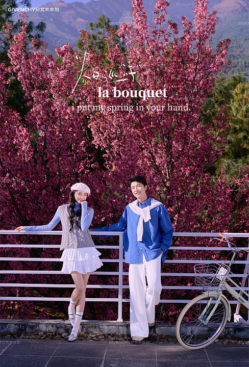 大理限定-春日樱花