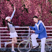 大理限定-春日樱花