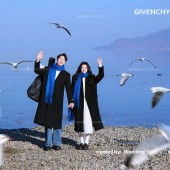 洱海海鸥-冬季恋歌