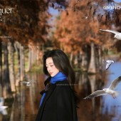 洱海海鸥-冬季恋歌