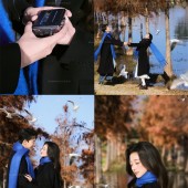 洱海海鸥-冬季恋歌