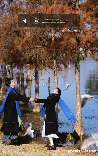 洱海海鸥-冬季恋歌