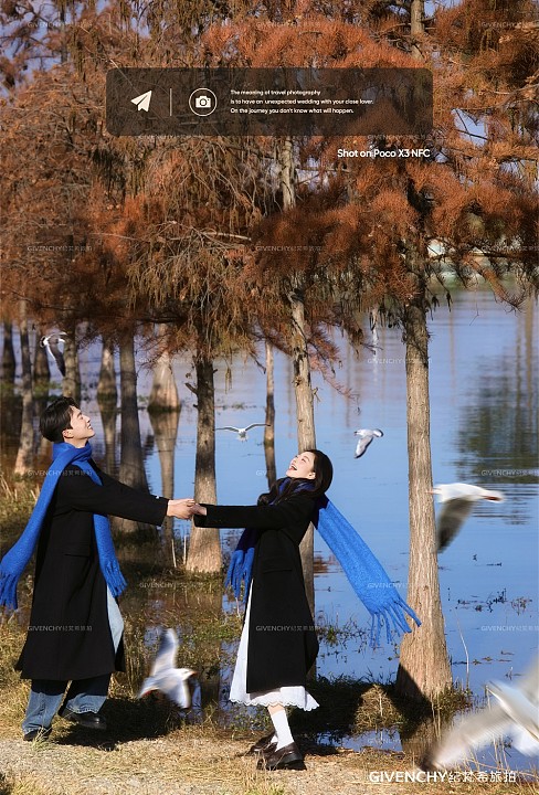 洱海海鸥-冬季恋歌