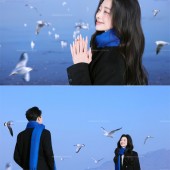 洱海海鸥-冬季恋歌