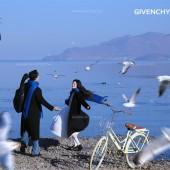 洱海海鸥-冬季恋歌