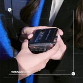 洱海海鸥-冬季恋歌