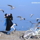 洱海海鸥-冬季恋歌