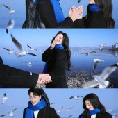 洱海海鸥-冬季恋歌