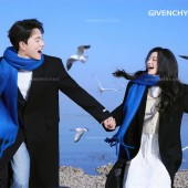 洱海海鸥-冬季恋歌